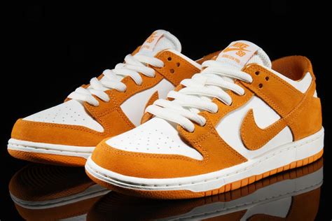 Nike skateboarding dunk